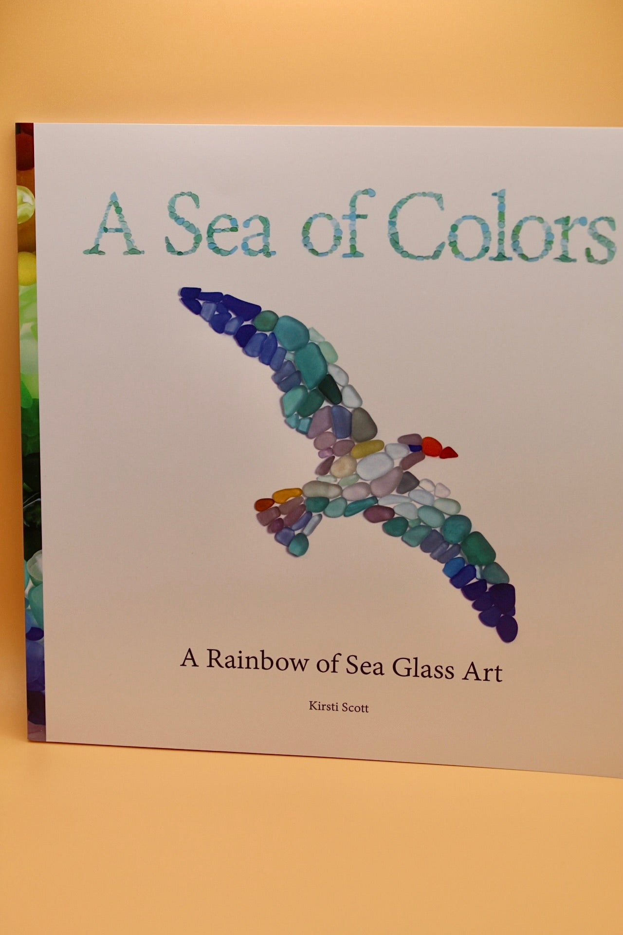 A Sea of Colors Book