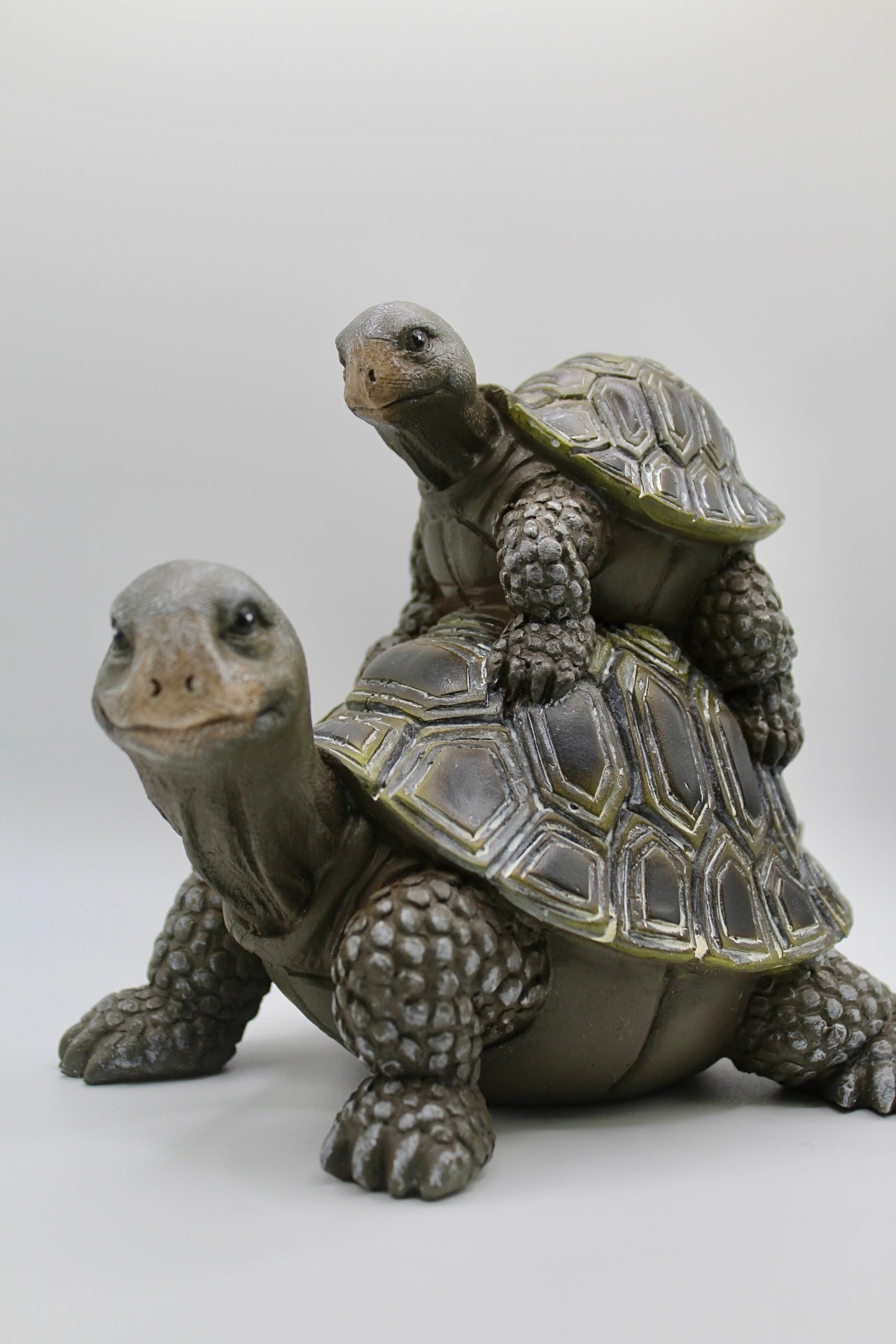 Turtle Mom and Baby