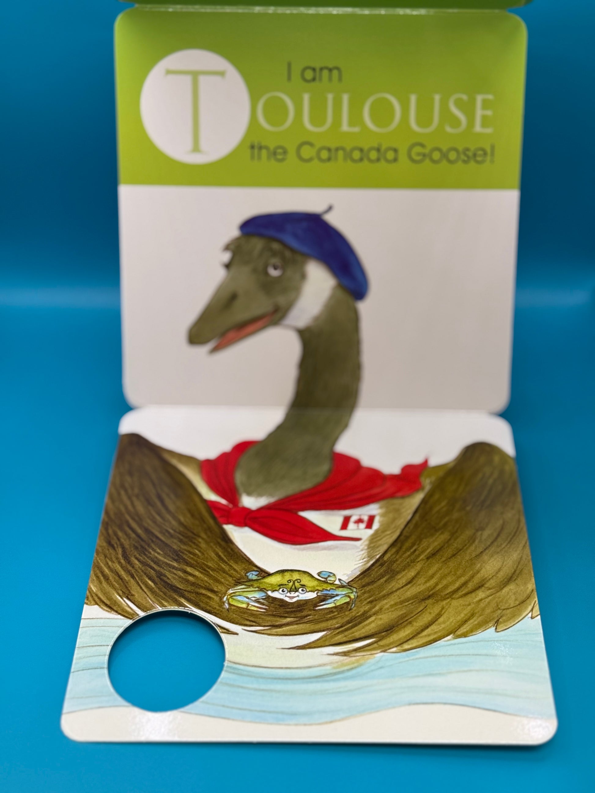 Chadwick & Friends Toddler Book