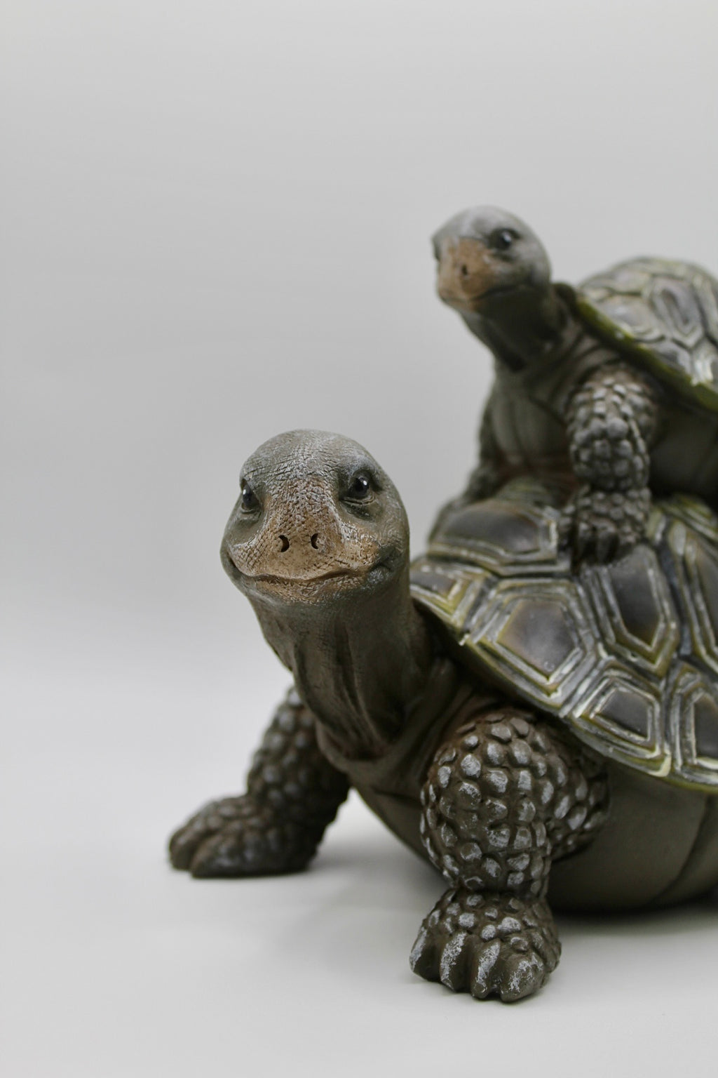 Turtle Mom and Baby