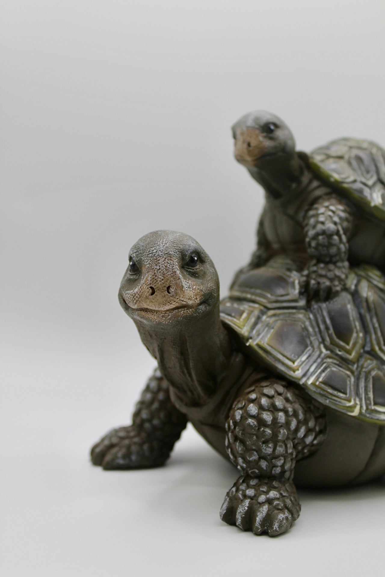 Turtle Mom and Baby
