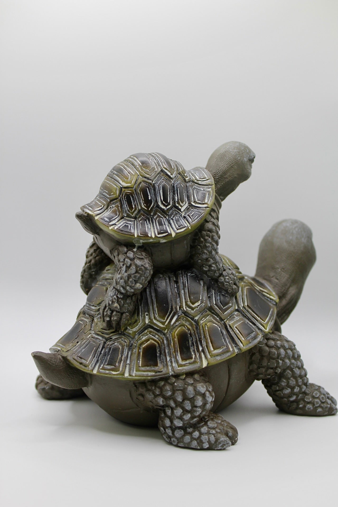 Turtle Mom and Baby