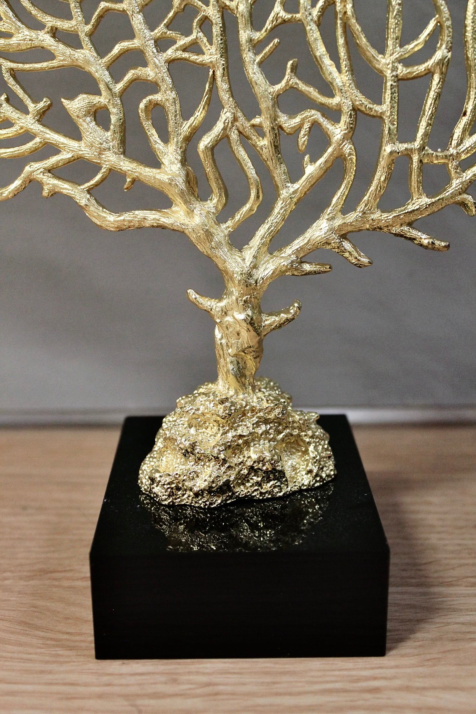 Gold Sea Fan