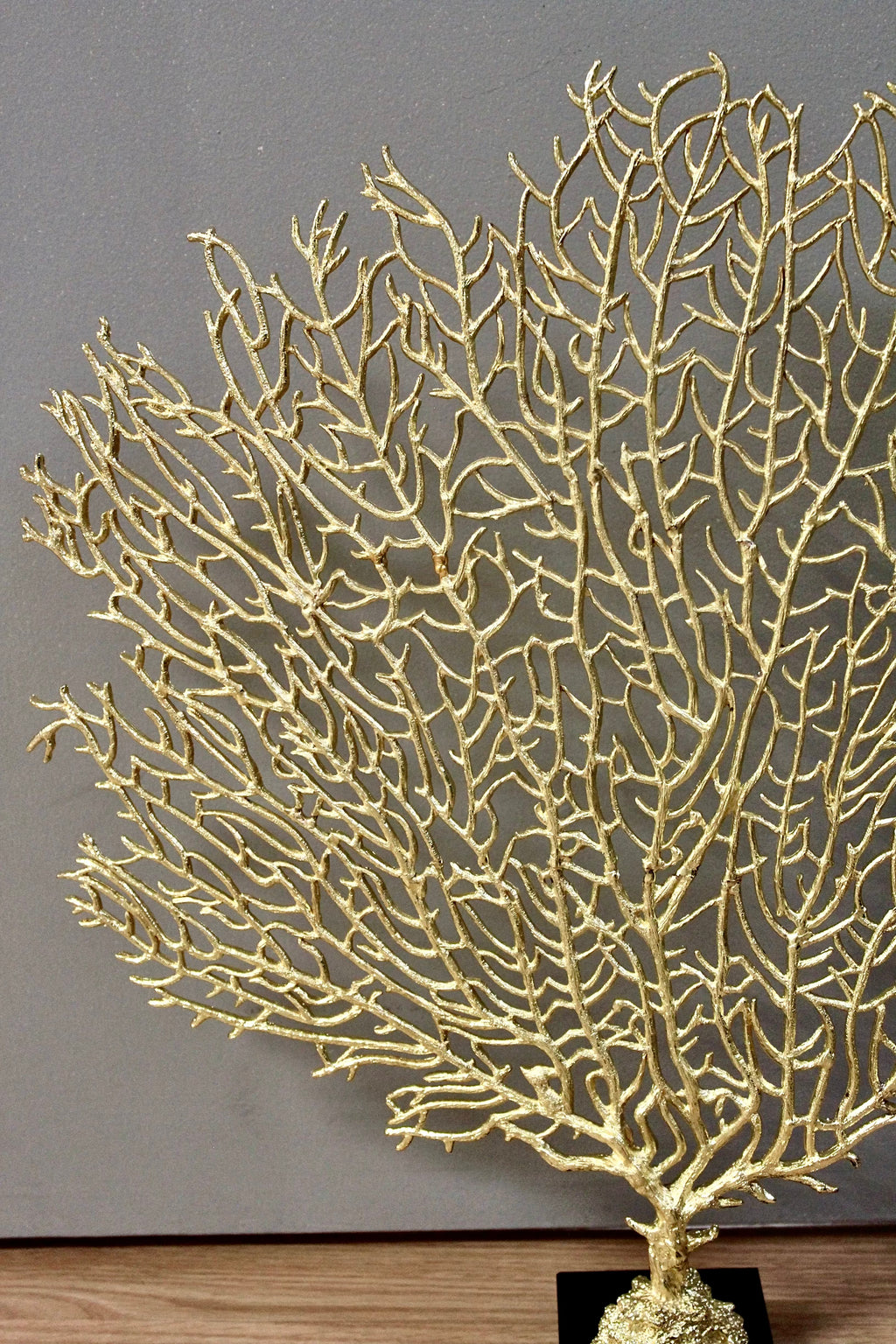 Gold Sea Fan