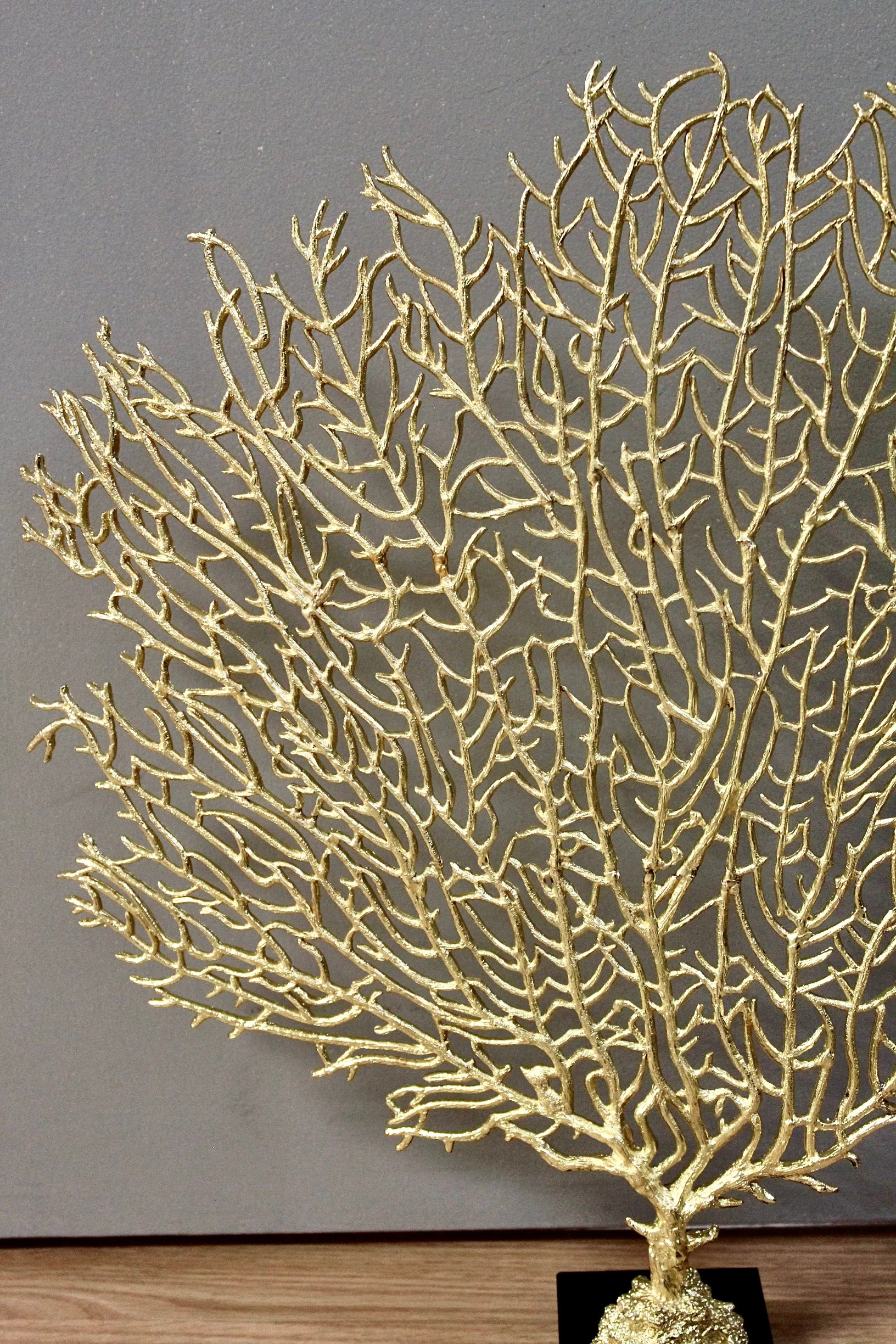 Gold Sea Fan
