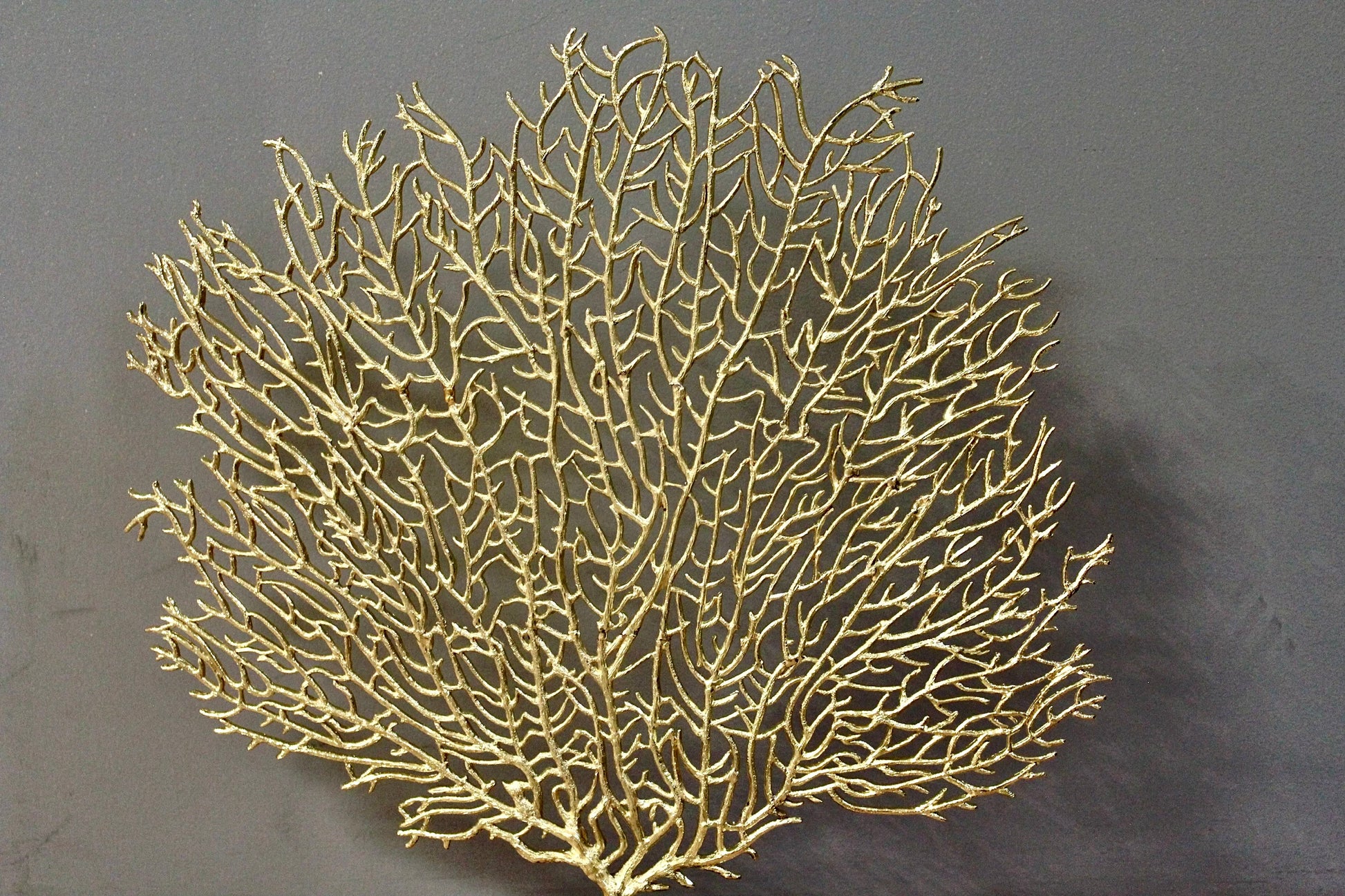 Gold Sea Fan